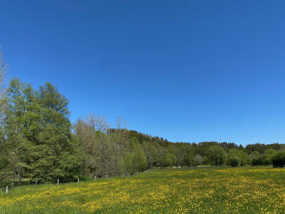 Le Heron - Gite De Charme Cloture, Acces A La Riviere - 6 Ou 10 Personnes Fauvillers Luaran gambar