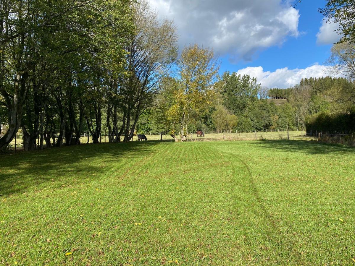 Le Heron - Gite De Charme Cloture, Acces A La Riviere - 6 Ou 10 Personnes Fauvillers Luaran gambar