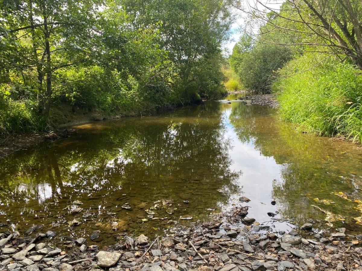 Le Heron - Gite De Charme Cloture, Acces A La Riviere - 6 Ou 10 Personnes Fauvillers Luaran gambar
