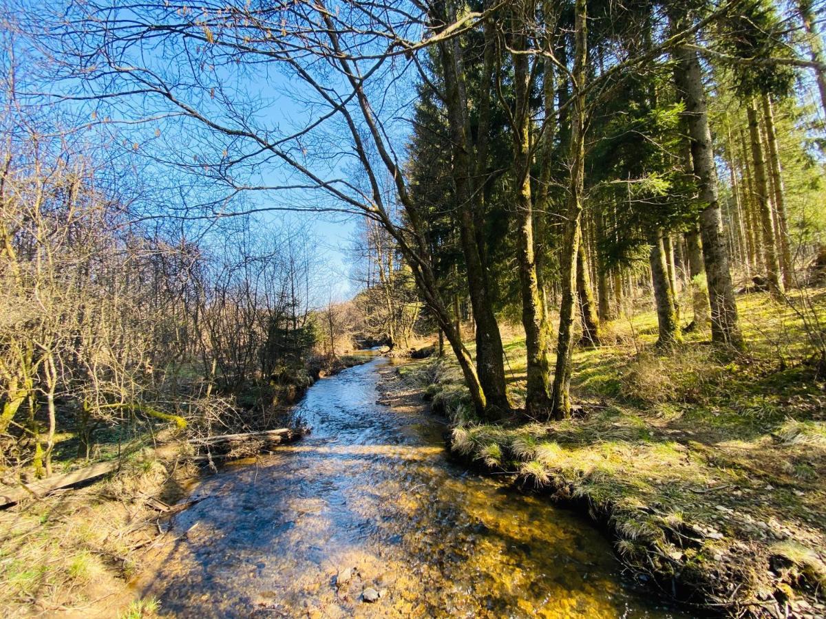 Le Heron - Gite De Charme Cloture, Acces A La Riviere - 6 Ou 10 Personnes Fauvillers Luaran gambar
